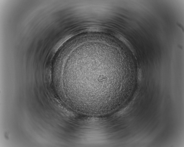 X0000103400829200809191519