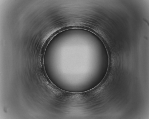 X0000103400830200809191519