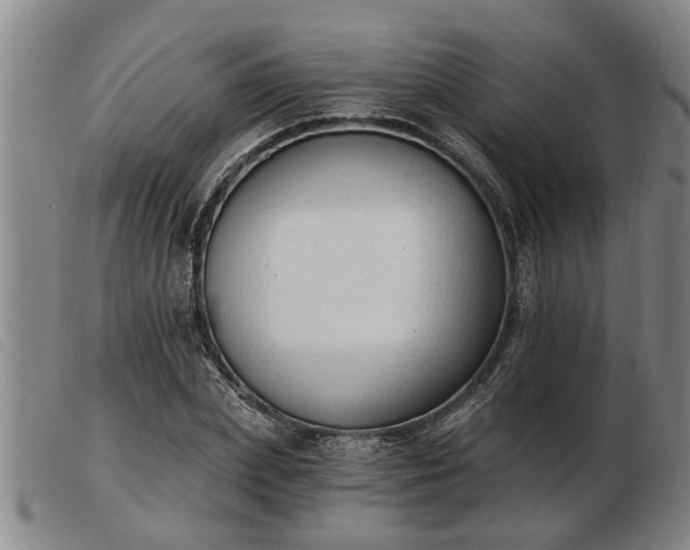 X0000103400831200809191519