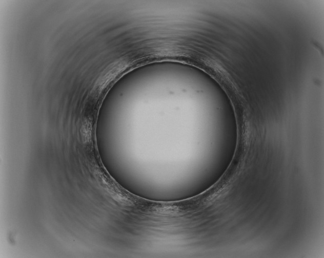 X0000103400833200809191519