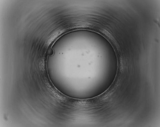 X0000103400834200809191519