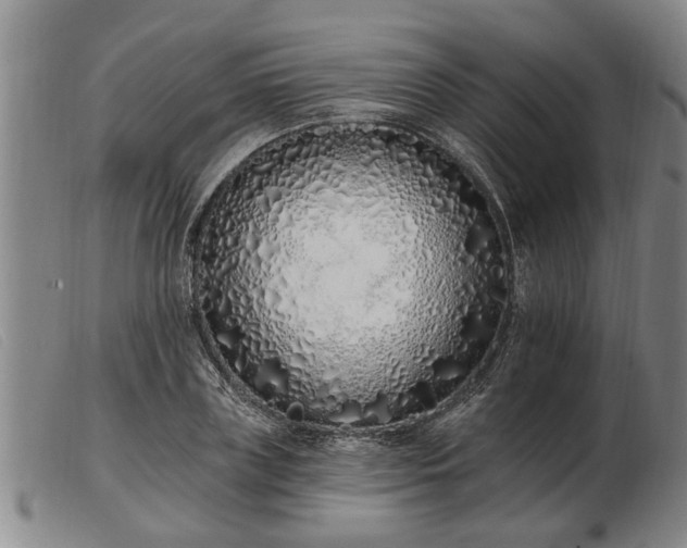 X0000103400835200809191519