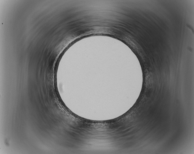 X0000103400836200809191519