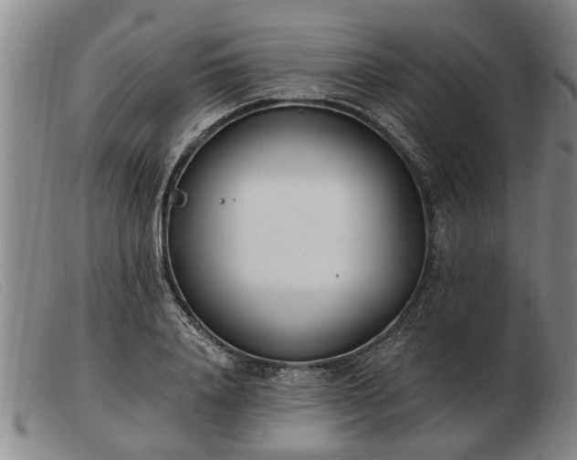 X0000103400840200809191519