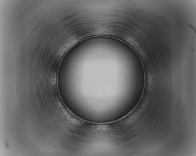 X0000103400841200809191519