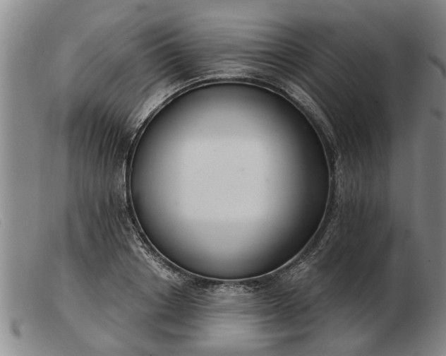 X0000103400842200809191519