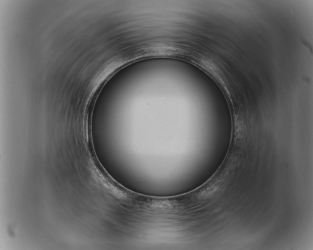 X0000103400843200809191519