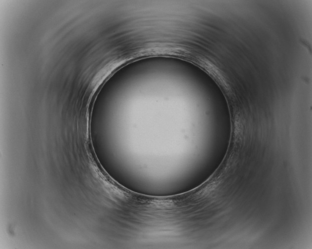 X0000103400844200809191519