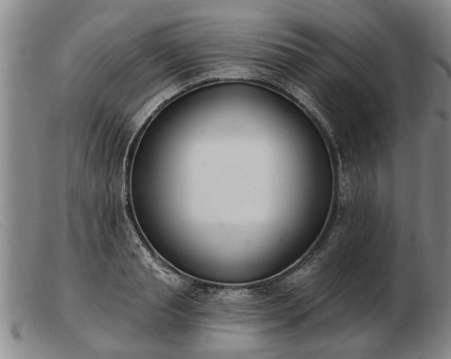 X0000103400845200809191519