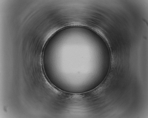 X0000103400847200809191519