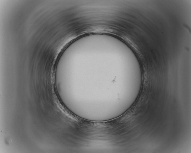 X0000103400848200809191519