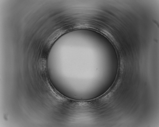 X0000103400849200809191519