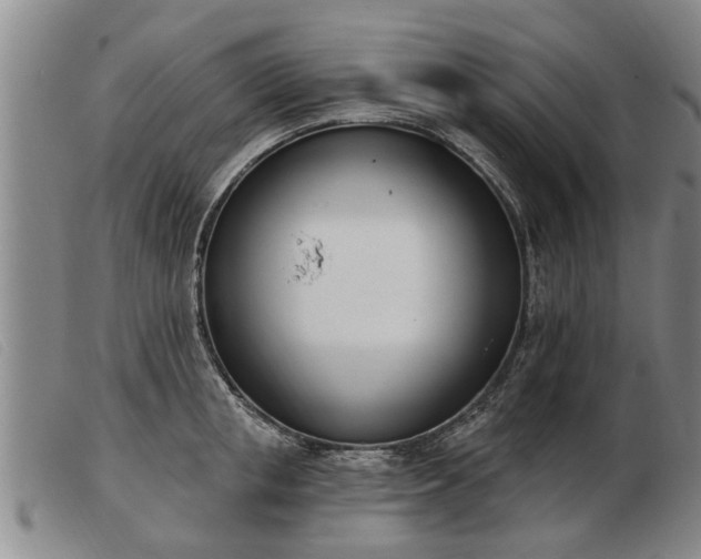 X0000103400853200809191519