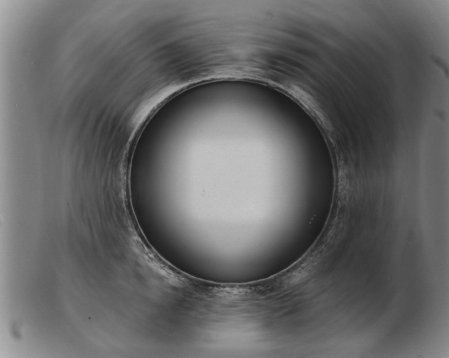 X0000103400854200809191519