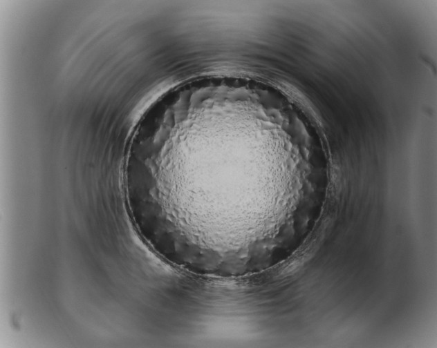 X0000103400855200809191519