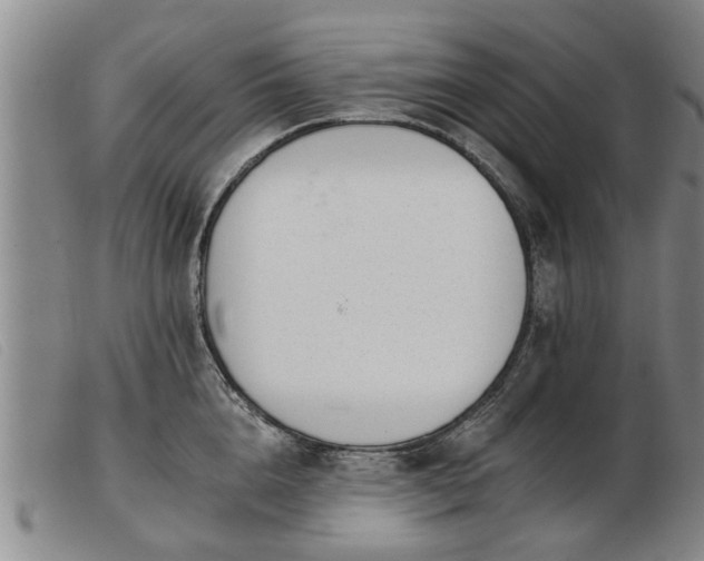 X0000103400856200809191519