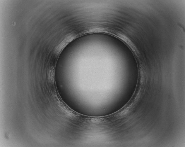 X0000103400857200809191519