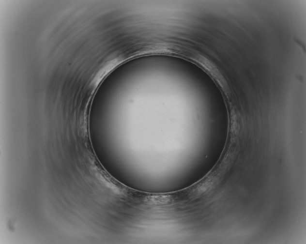 X0000103400858200809191519