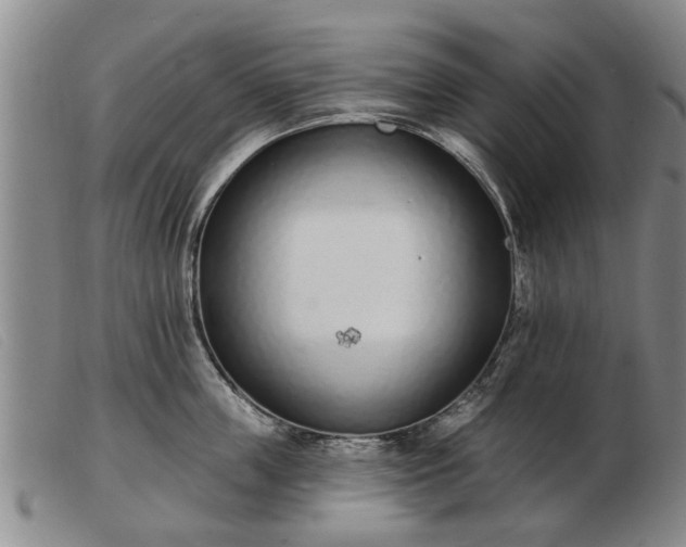 X0000103400859200809191519