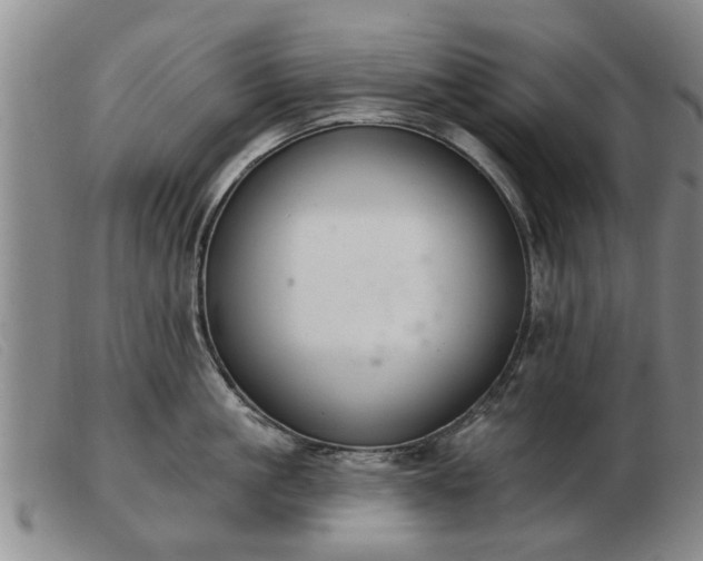 X0000103400861200809191519