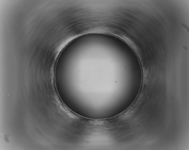 X0000103400862200809191520