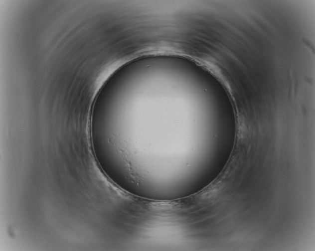 X0000103400863200809191520