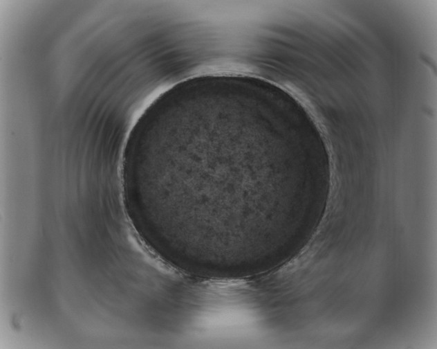 X0000103400864200809191520