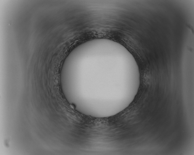 X0000103400865200809191519