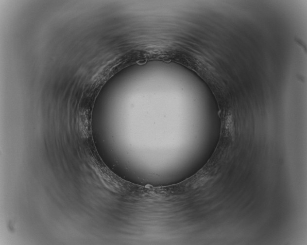 X0000103400868200809191519