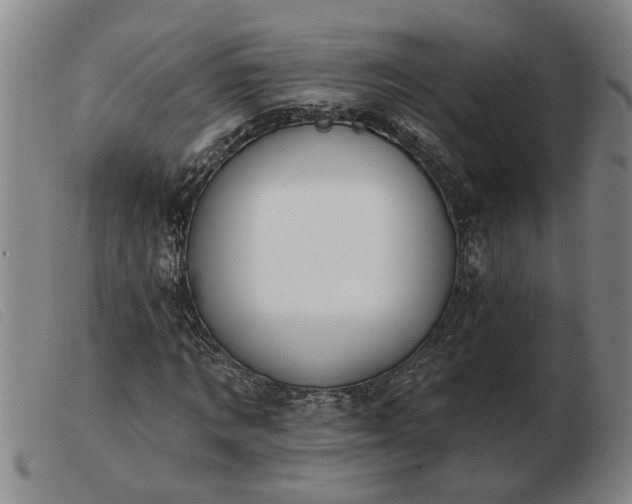 X0000103400869200809191519