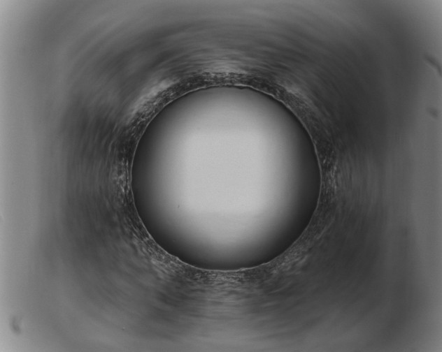 X0000103400870200809191519