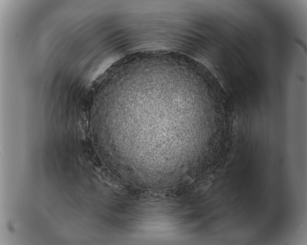 X0000103400871200809191519