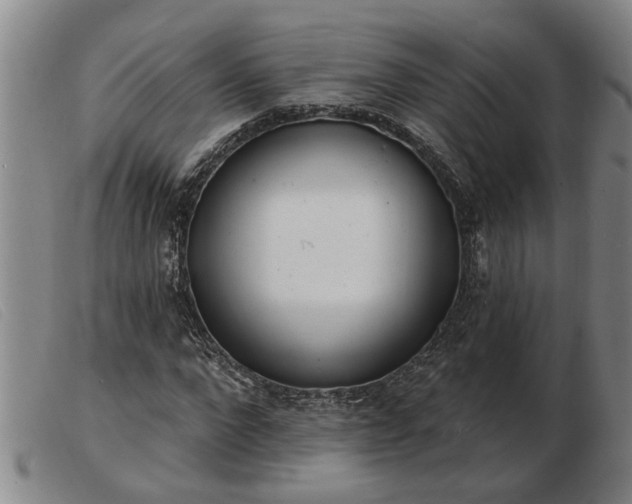 X0000103400872200809191519