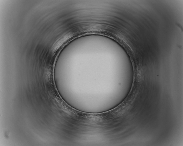 X0000103400874200809191519