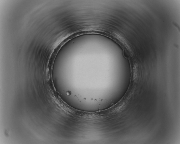 X0000103400876200809191519