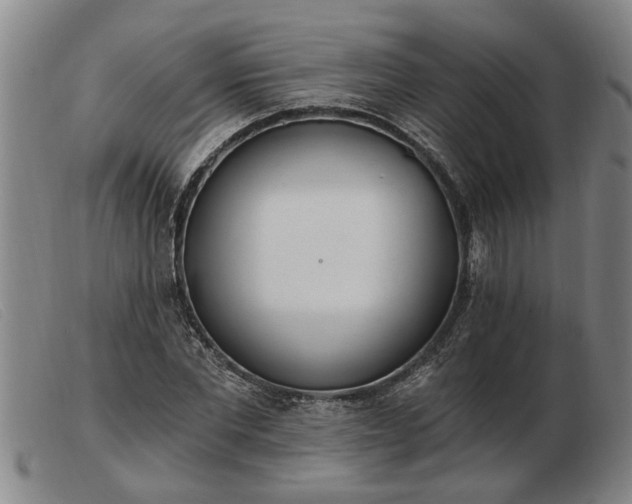 X0000103400877200809191519