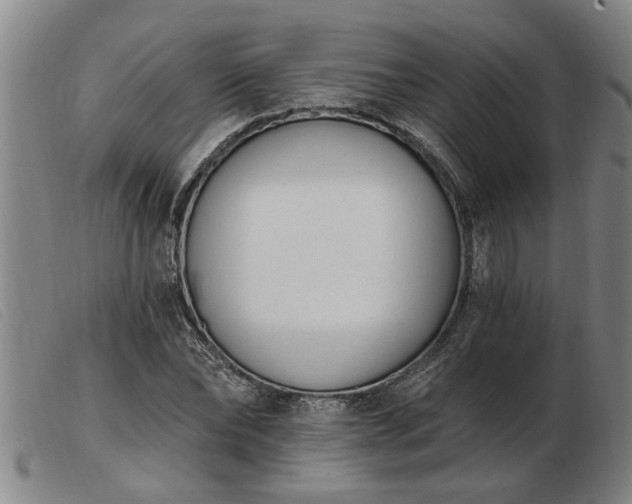 X0000103400878200809191519