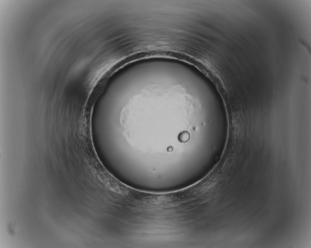 X0000103400879200809191519