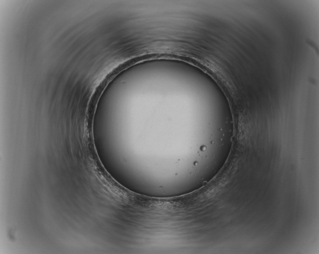 X0000103400880200809191518