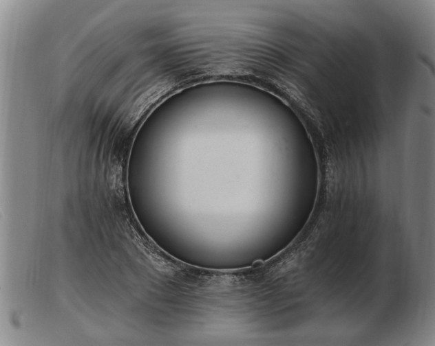 X0000103400881200809191518