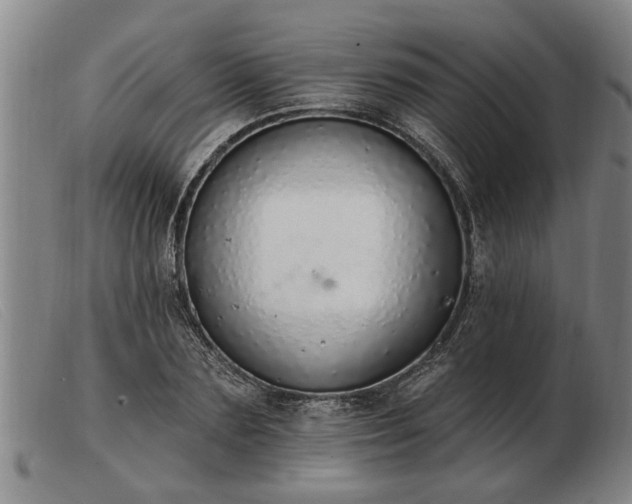 X0000103400883200809191518