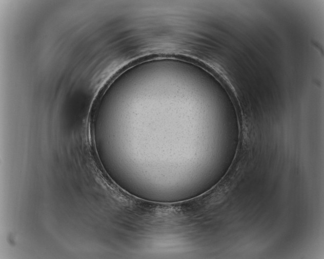 X0000103400887200809191518