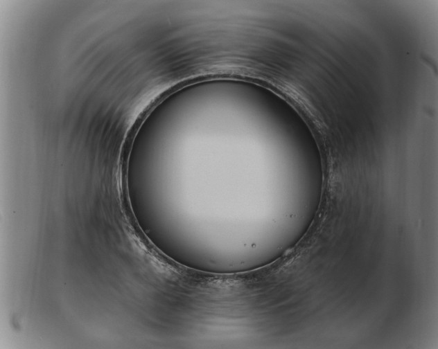 X0000103400888200809191518