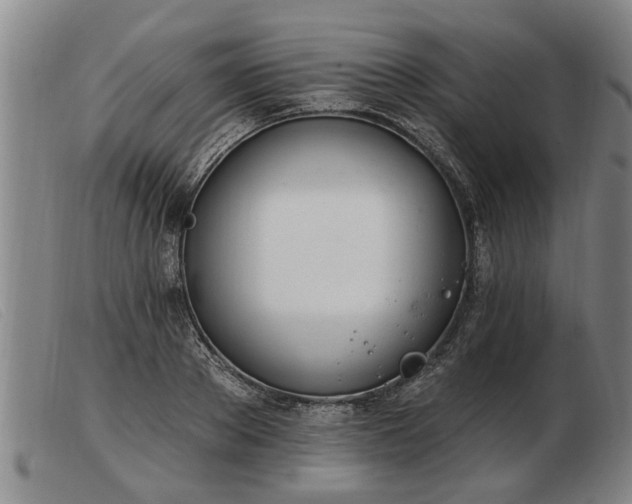 X0000103400889200809191518