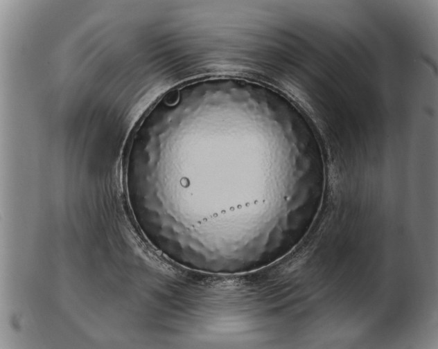 X0000103400891200809191518