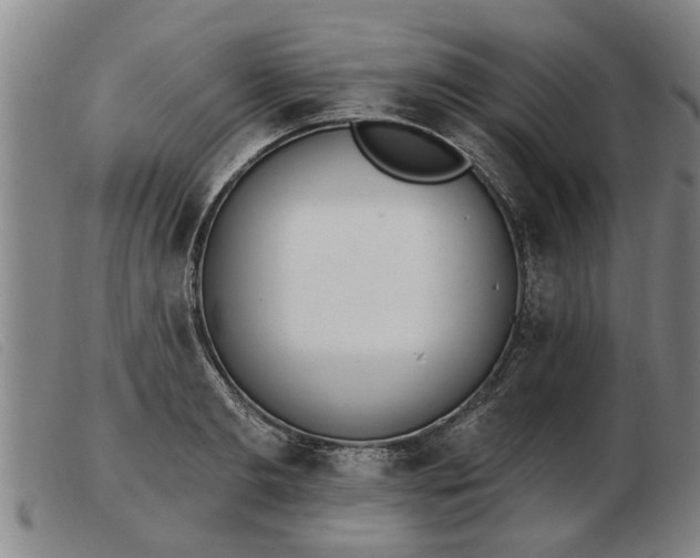 X0000103400893200809191518