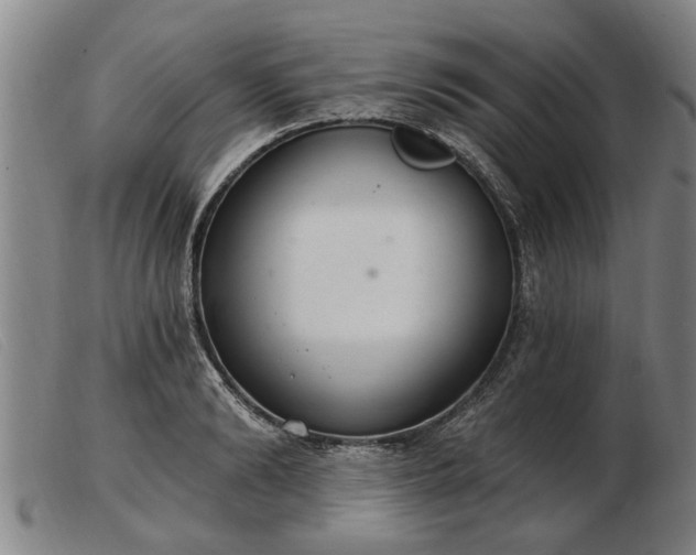 X0000103400894200809191518