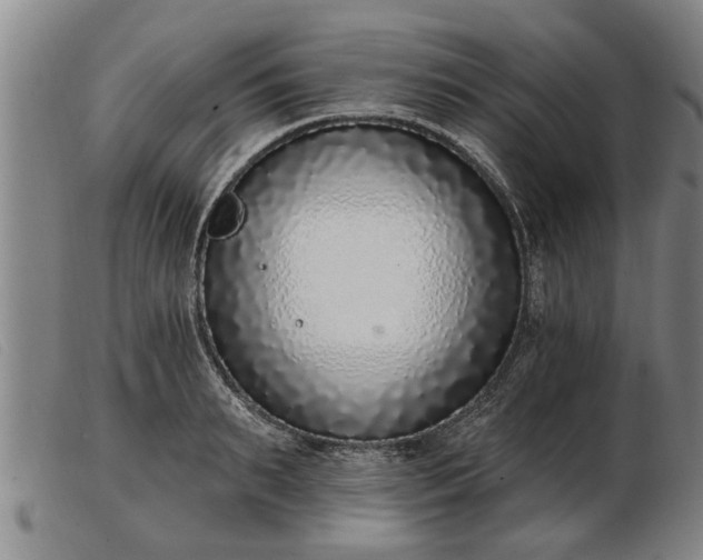 X0000103400895200809191518