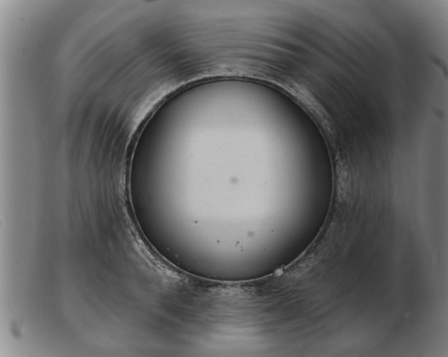 X0000103400896200809191518