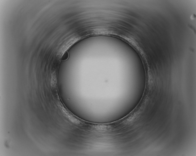 X0000103400897200809191518